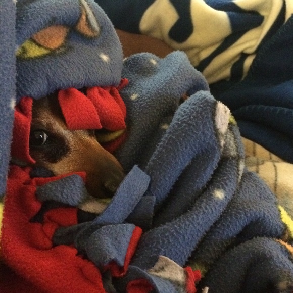 Bundle Up! - Picture 7 of 8